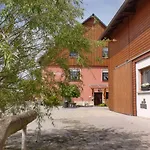 Dreibirken Lägenhet